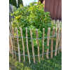 Płotek leszczynowy z nóżkami H 35 7-8 cm dł. 5m